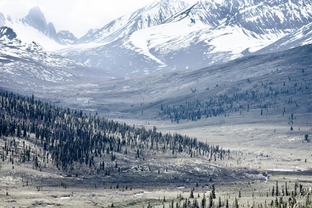 Hello World Featured Image